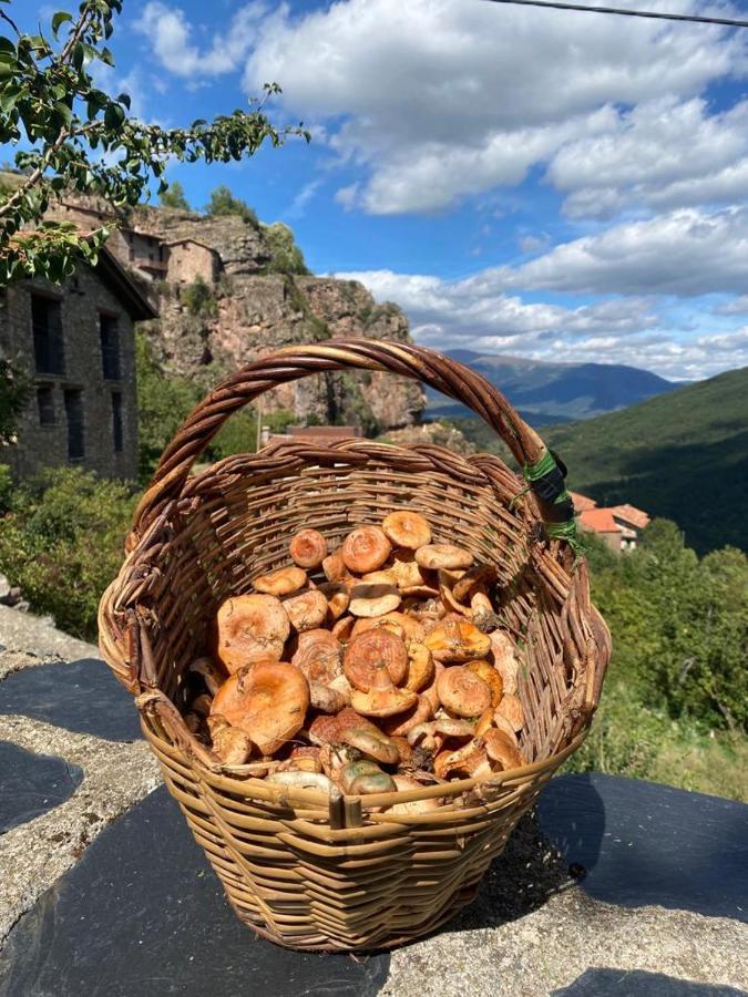 Cal Ferrer Habitatge Rural Villa Cava Eksteriør bilde