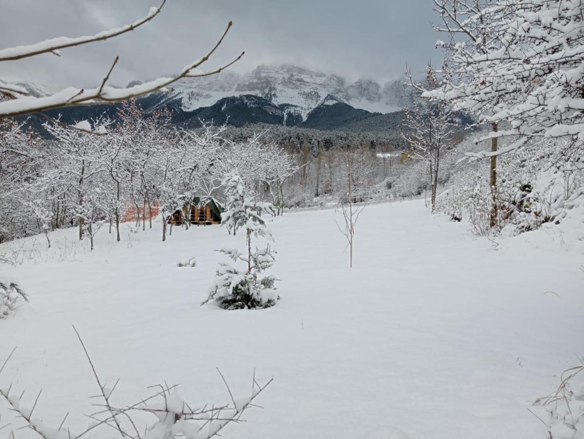 Cal Ferrer Habitatge Rural Villa Cava Eksteriør bilde